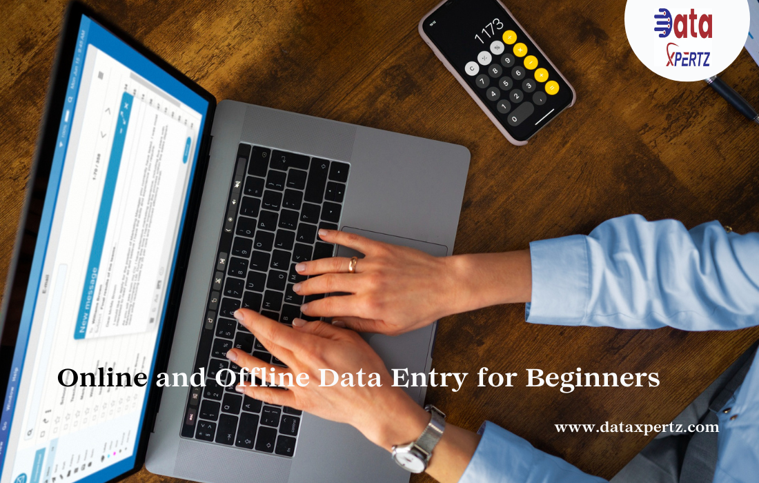 online-offline-data-entry-services